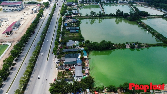 Tỷ lệ cây xanh đô thị của Việt Nam chỉ bằng 1/5 - 1/10 của thế giới