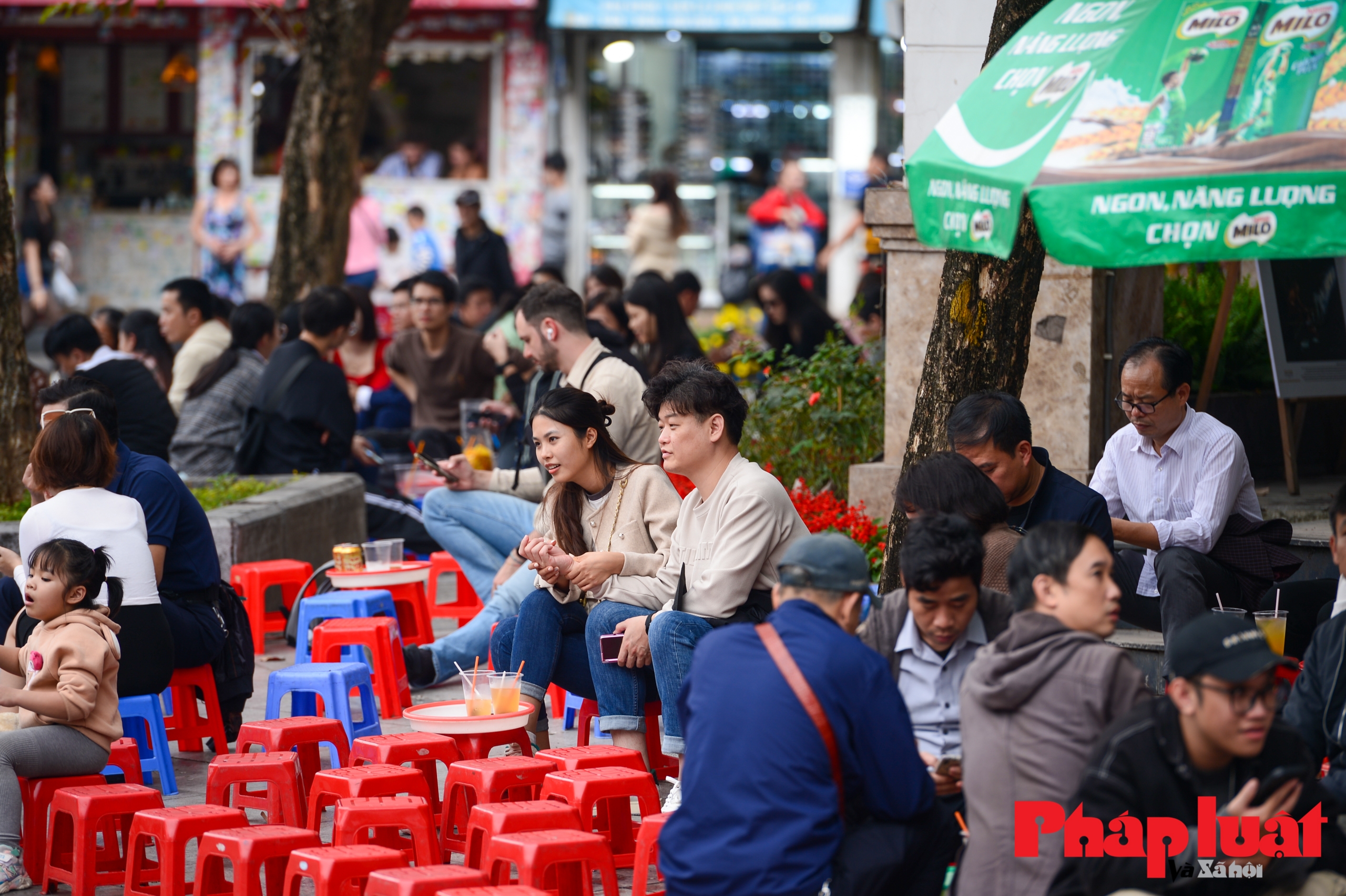 Giới trẻ Hà thành xuống phố sớm 