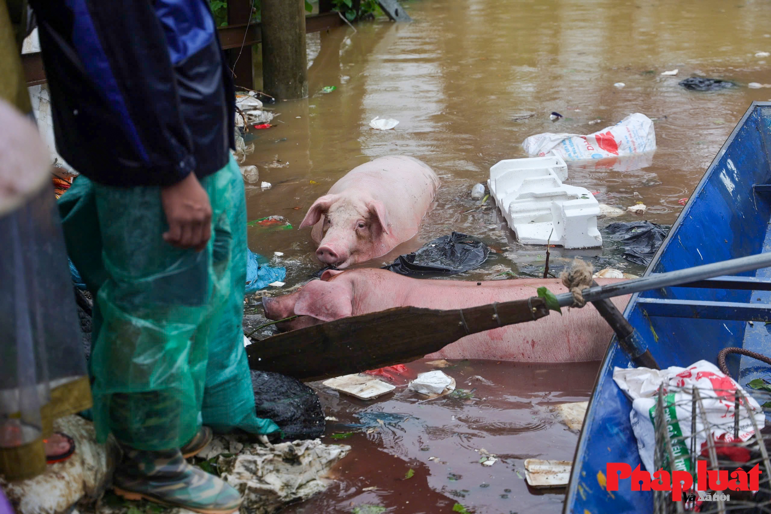 Nước sông Hồng, sông Nhuệ dâng cao, nhiều khu vực ngập lụt nghiêm trọng