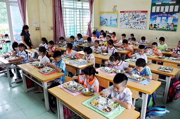 xây dựng bộ tiêu chí lựa chọn đơn vị cung cấp suất ăn và nguyên liệu thực phẩm cho các bếp ăn bán trú trong trường học. Ảnh minh họa